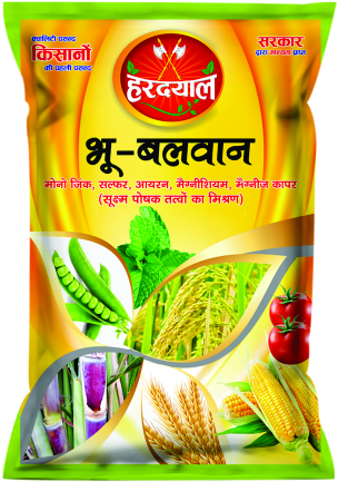 BHU BALWAN